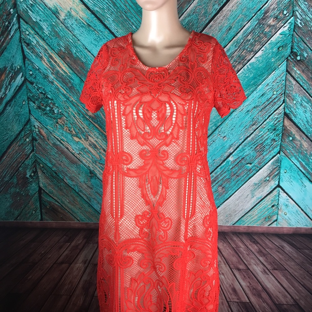 Margot Lace Dress From Stitch Fix - Picture 6 of 8